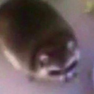 Meet your Posher, Jackilyn